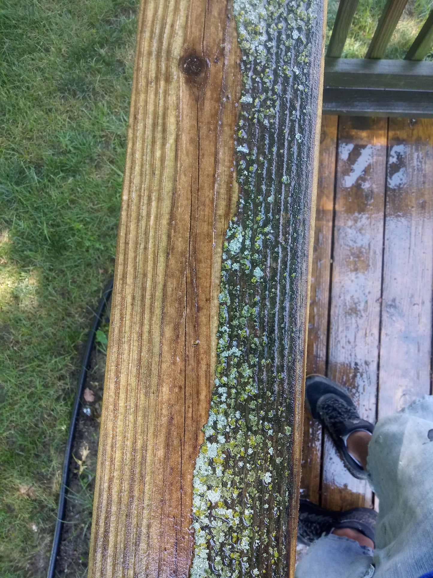 Power Washing & Stain Magic!