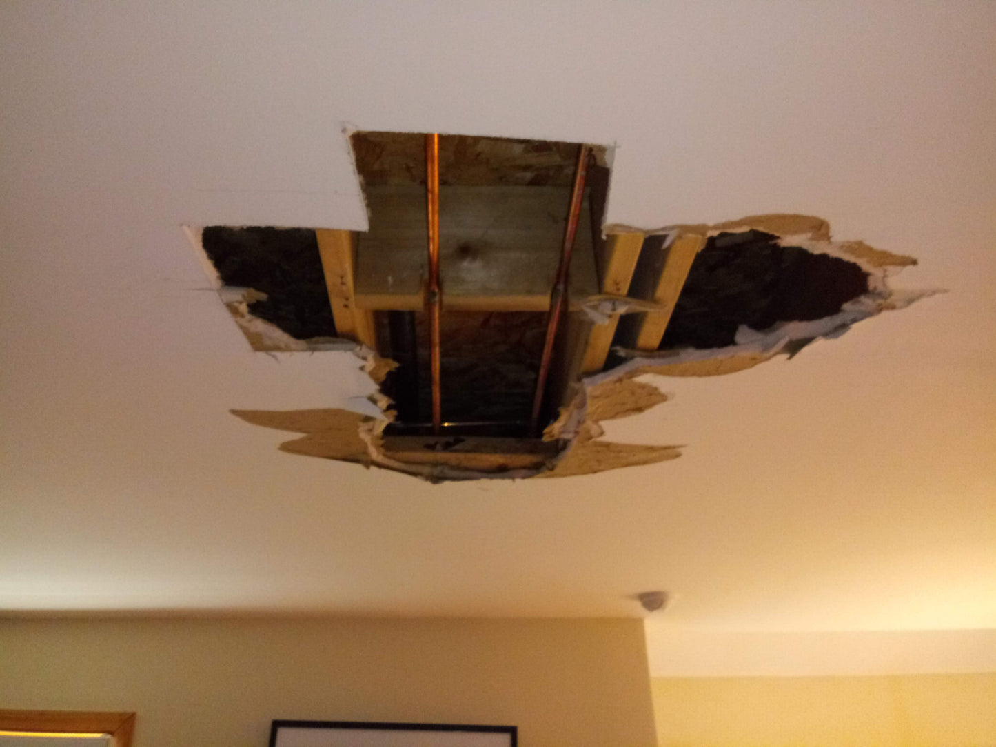 Seamless Repairs, Stunning Results