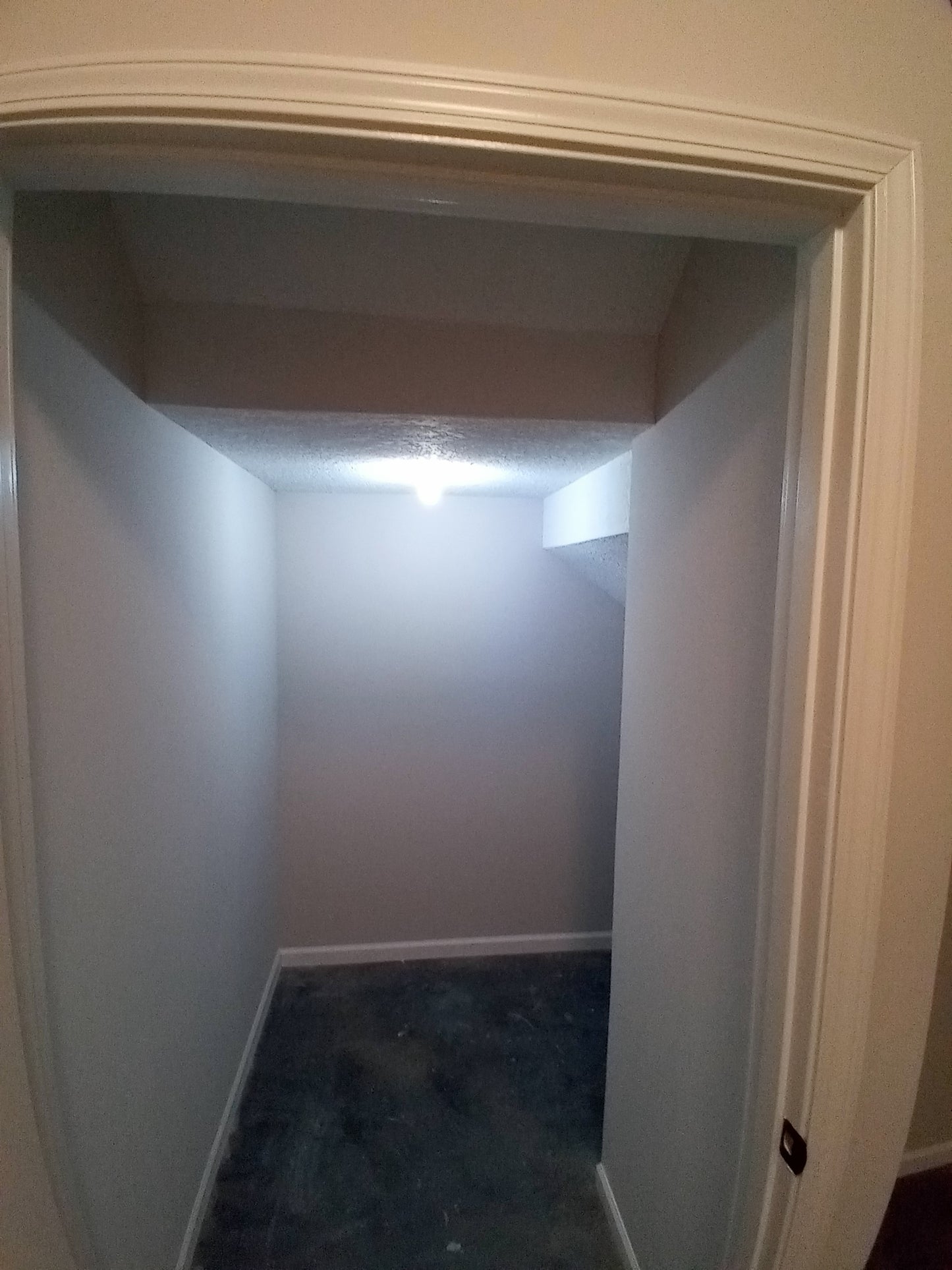 Another Amazing Basement Finish