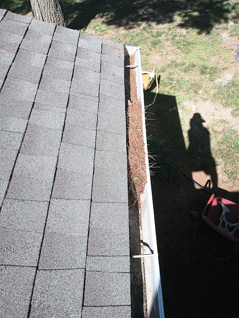 Happiness is a gutter full of raindrops