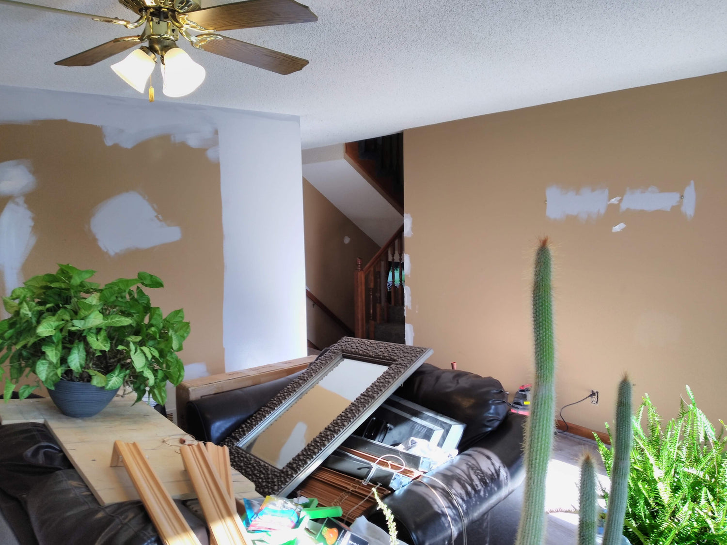 Interior Painting